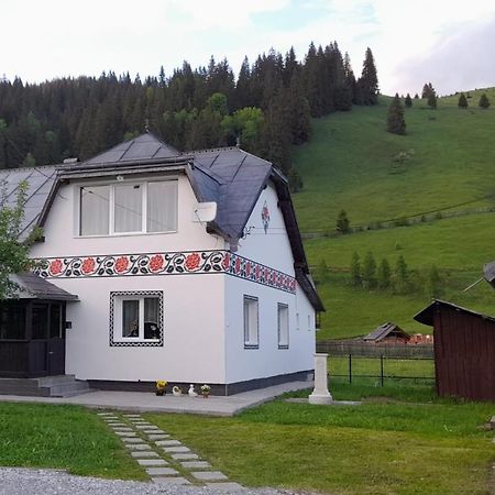Casa Dumitru Si Elena Ciocanesti Bucovina Екстериор снимка