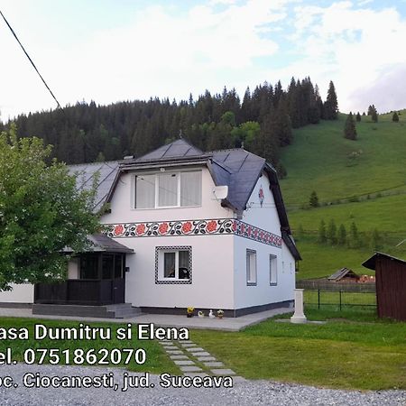 Casa Dumitru Si Elena Ciocanesti Bucovina Стая снимка