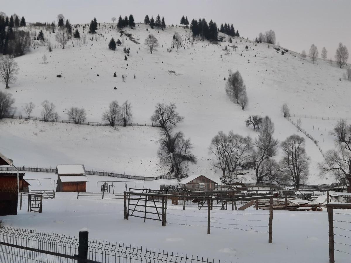 Casa Dumitru Si Elena Ciocanesti Bucovina Екстериор снимка