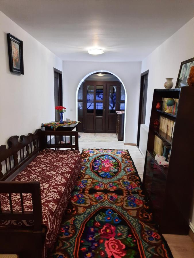 Casa Dumitru Si Elena Ciocanesti Bucovina Екстериор снимка