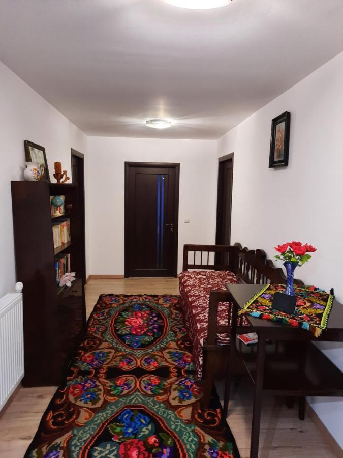 Casa Dumitru Si Elena Ciocanesti Bucovina Екстериор снимка