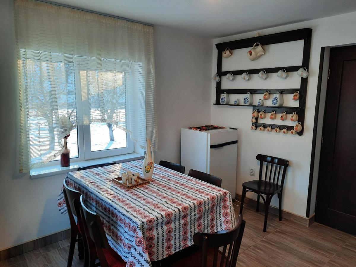 Casa Dumitru Si Elena Ciocanesti Bucovina Екстериор снимка