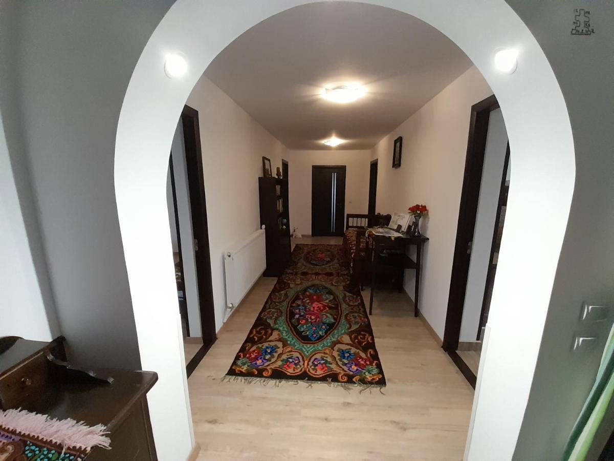 Casa Dumitru Si Elena Ciocanesti Bucovina Екстериор снимка