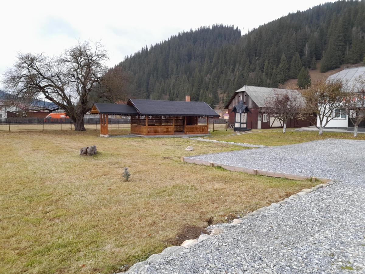 Casa Dumitru Si Elena Ciocanesti Bucovina Екстериор снимка