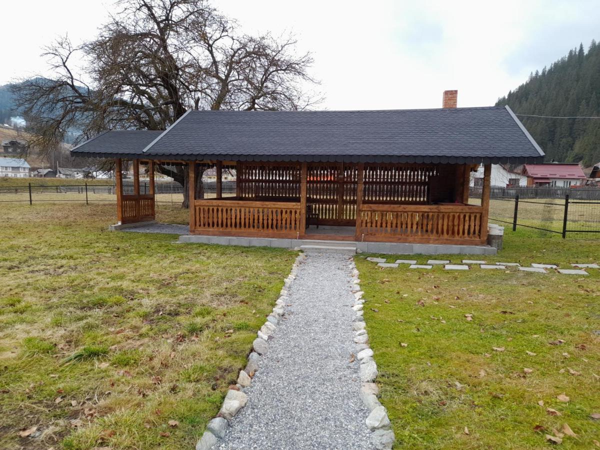 Casa Dumitru Si Elena Ciocanesti Bucovina Екстериор снимка