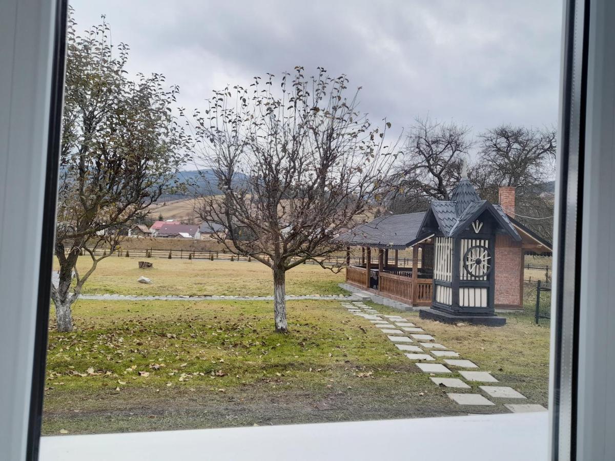 Casa Dumitru Si Elena Ciocanesti Bucovina Екстериор снимка