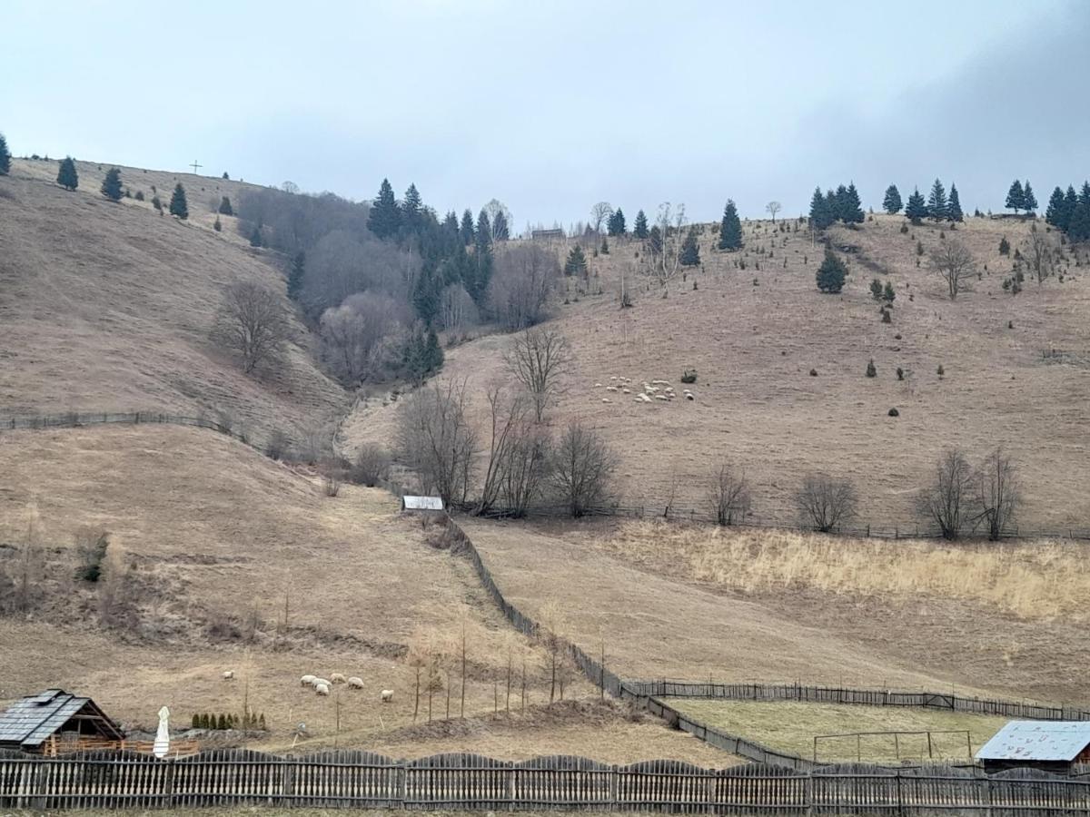 Casa Dumitru Si Elena Ciocanesti Bucovina Екстериор снимка