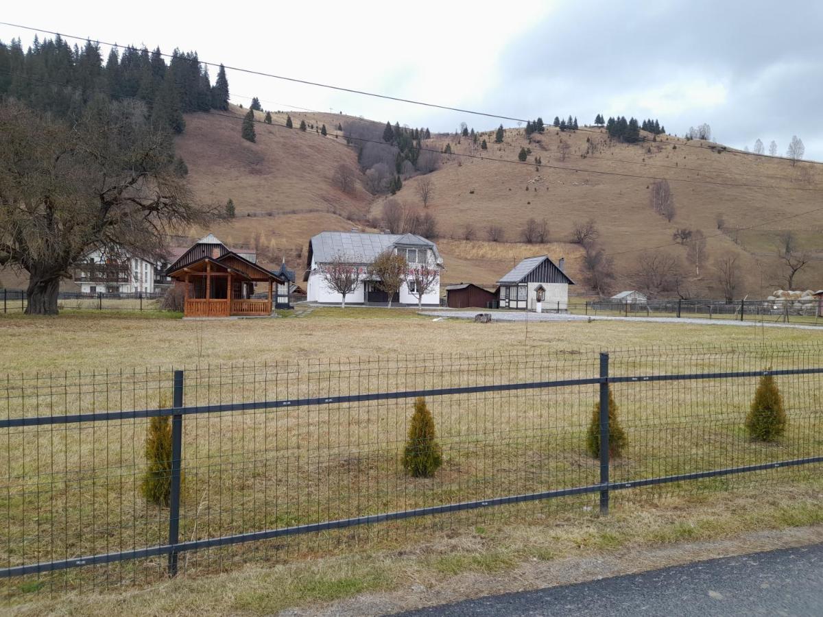 Casa Dumitru Si Elena Ciocanesti Bucovina Екстериор снимка