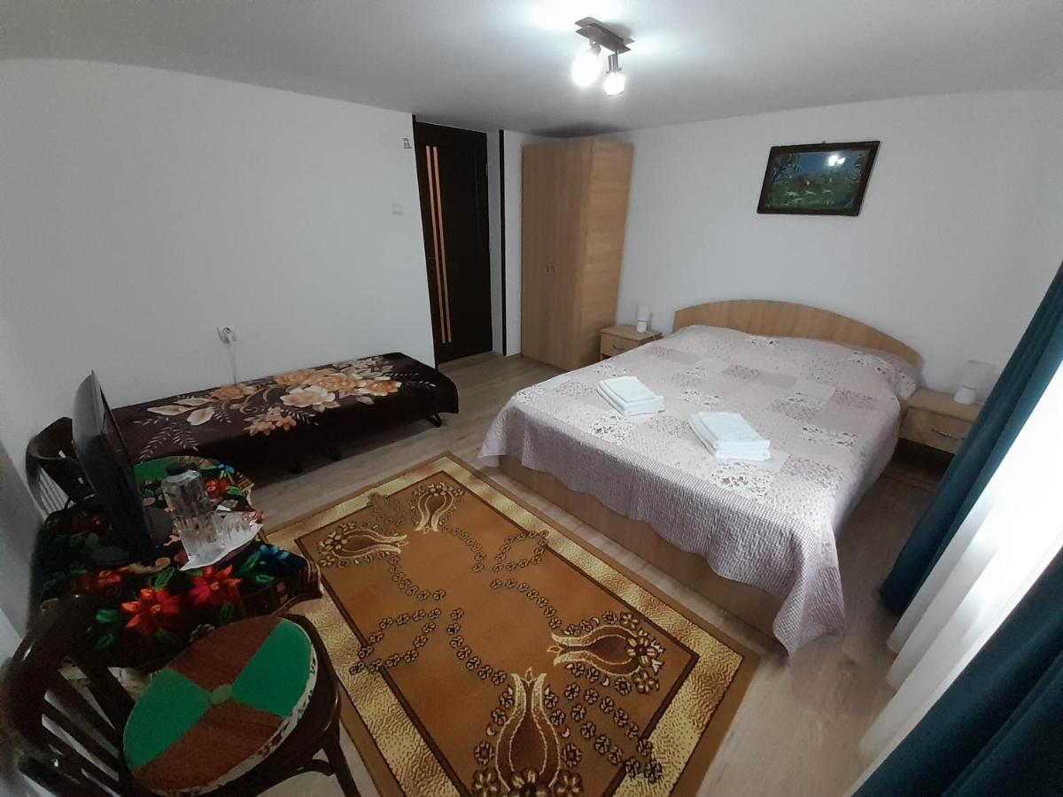 Casa Dumitru Si Elena Ciocanesti Bucovina Екстериор снимка
