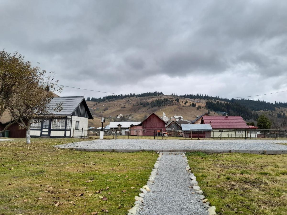 Casa Dumitru Si Elena Ciocanesti Bucovina Екстериор снимка