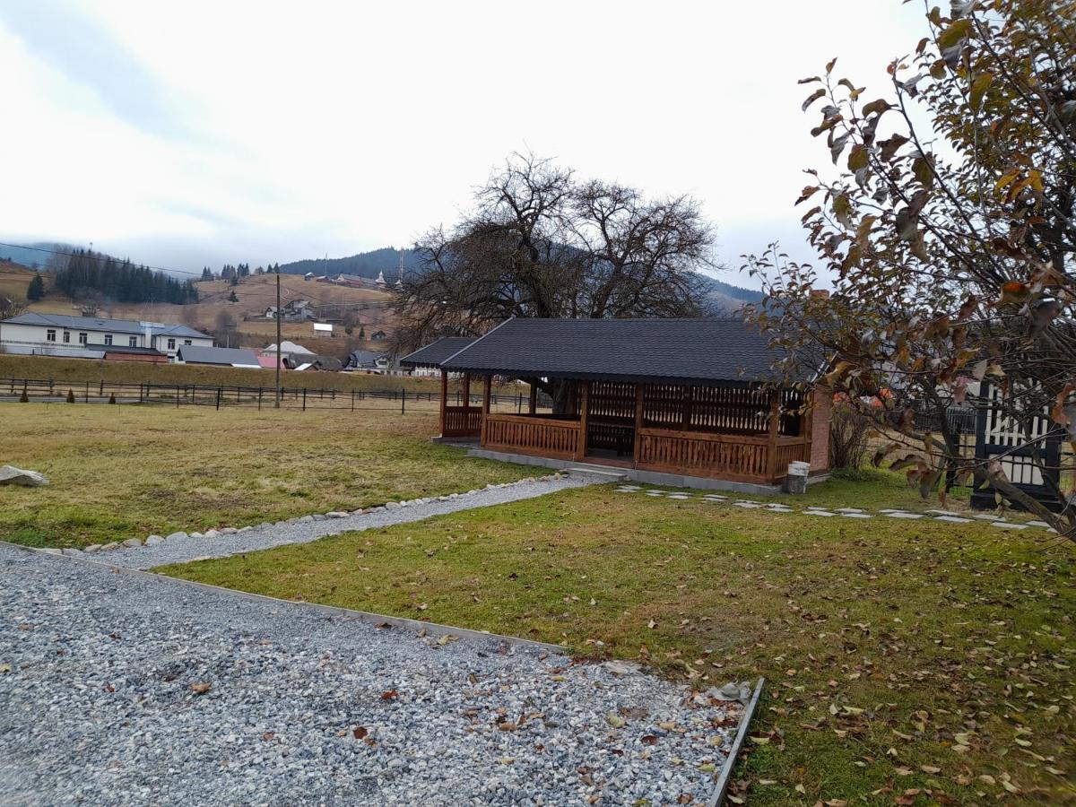 Casa Dumitru Si Elena Ciocanesti Bucovina Екстериор снимка
