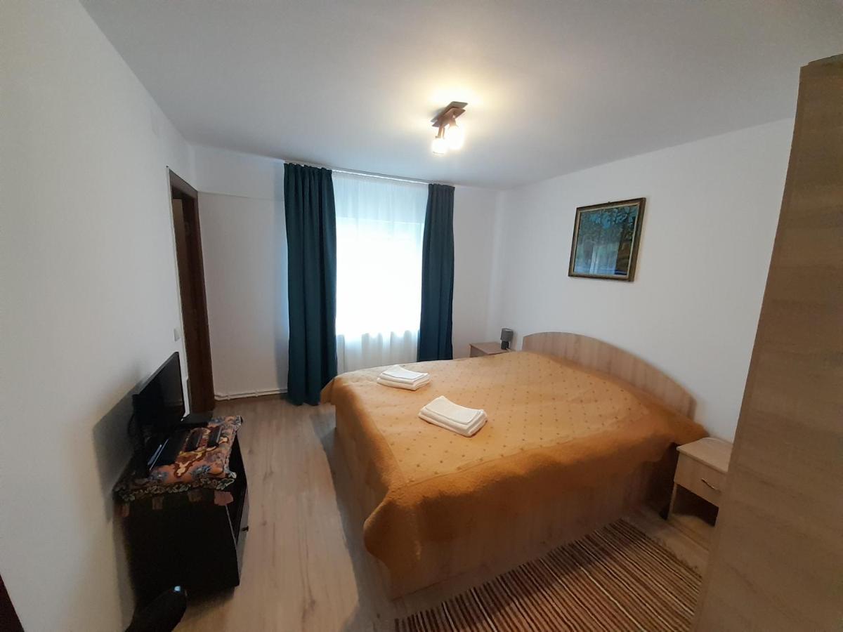 Casa Dumitru Si Elena Ciocanesti Bucovina Екстериор снимка