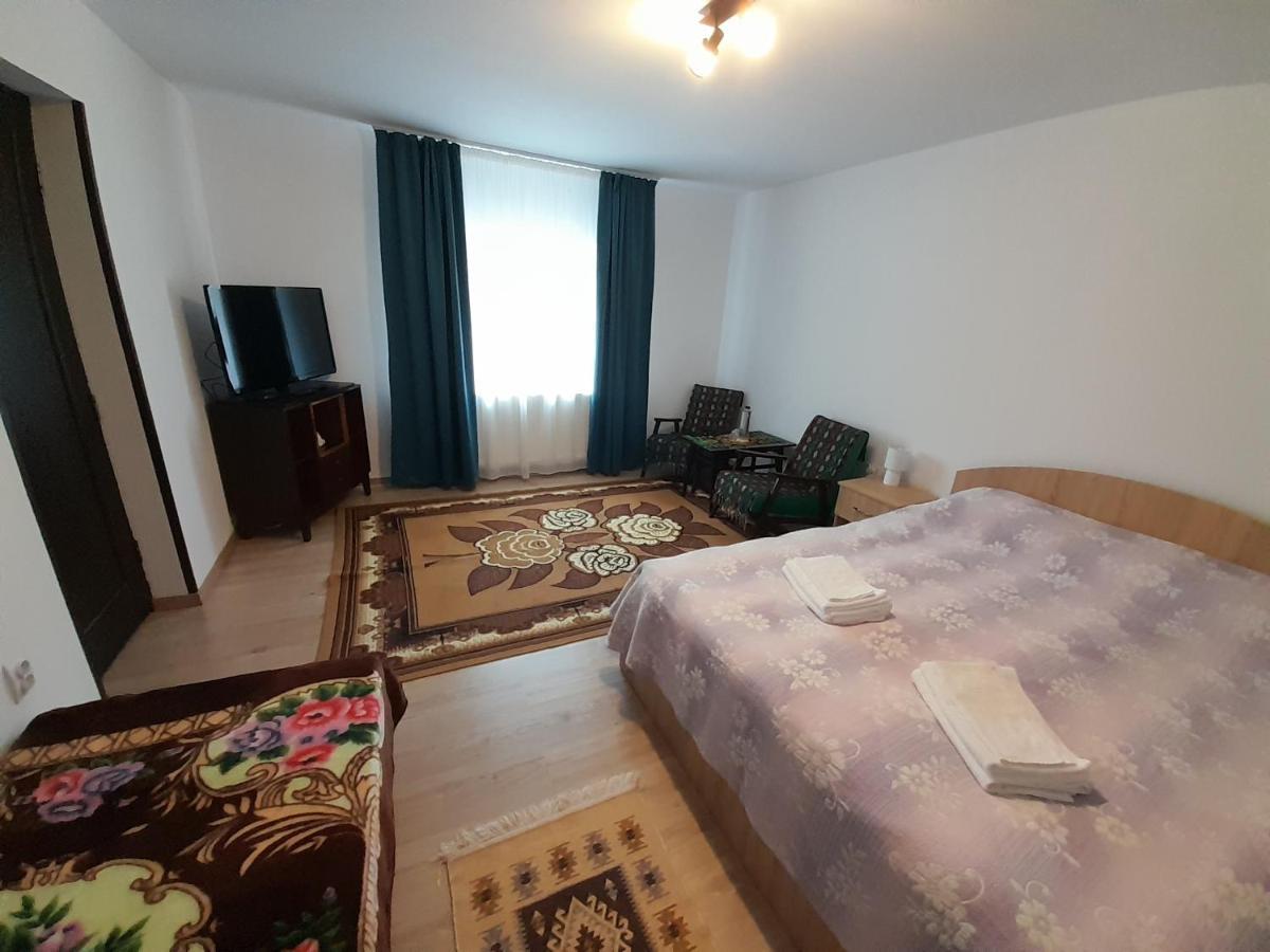 Casa Dumitru Si Elena Ciocanesti Bucovina Екстериор снимка