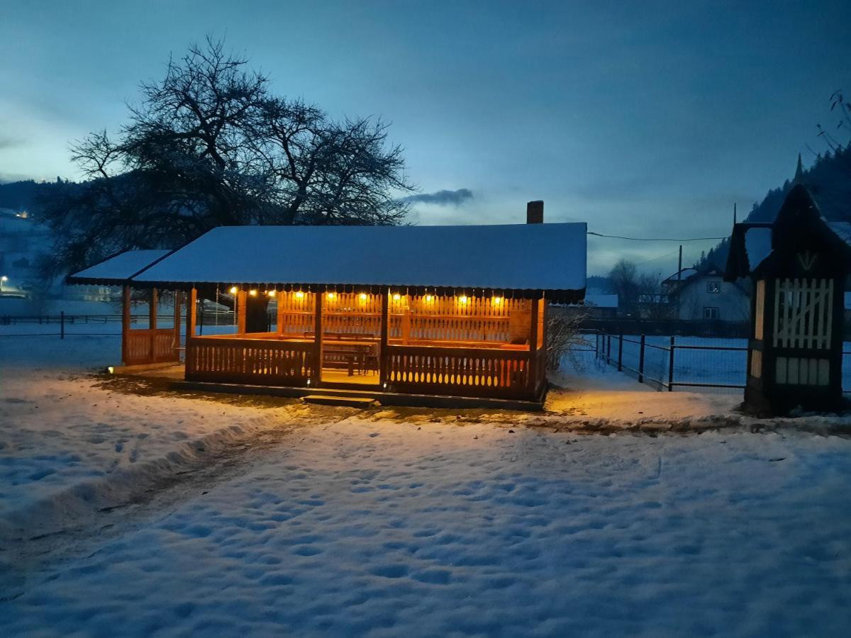Casa Dumitru Si Elena Ciocanesti Bucovina Екстериор снимка