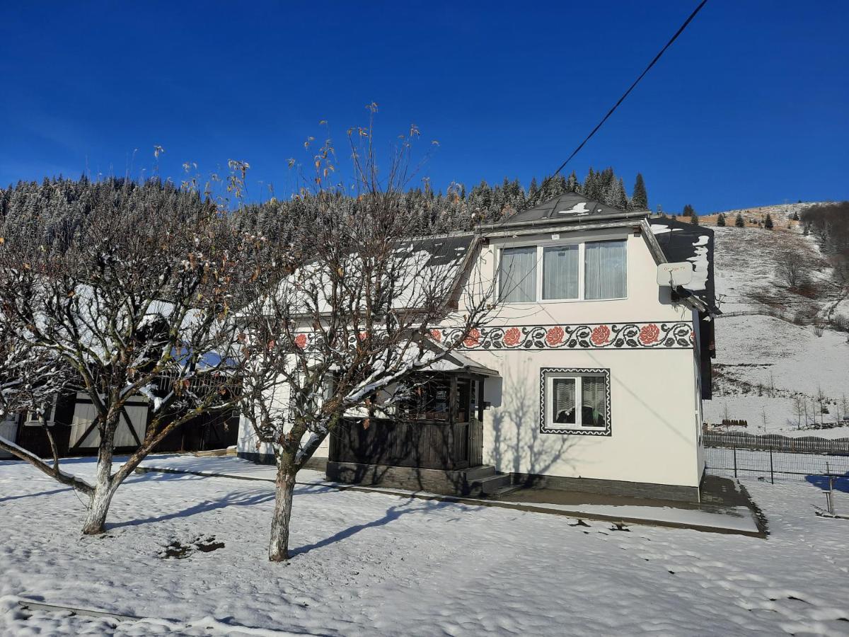 Casa Dumitru Si Elena Ciocanesti Bucovina Екстериор снимка