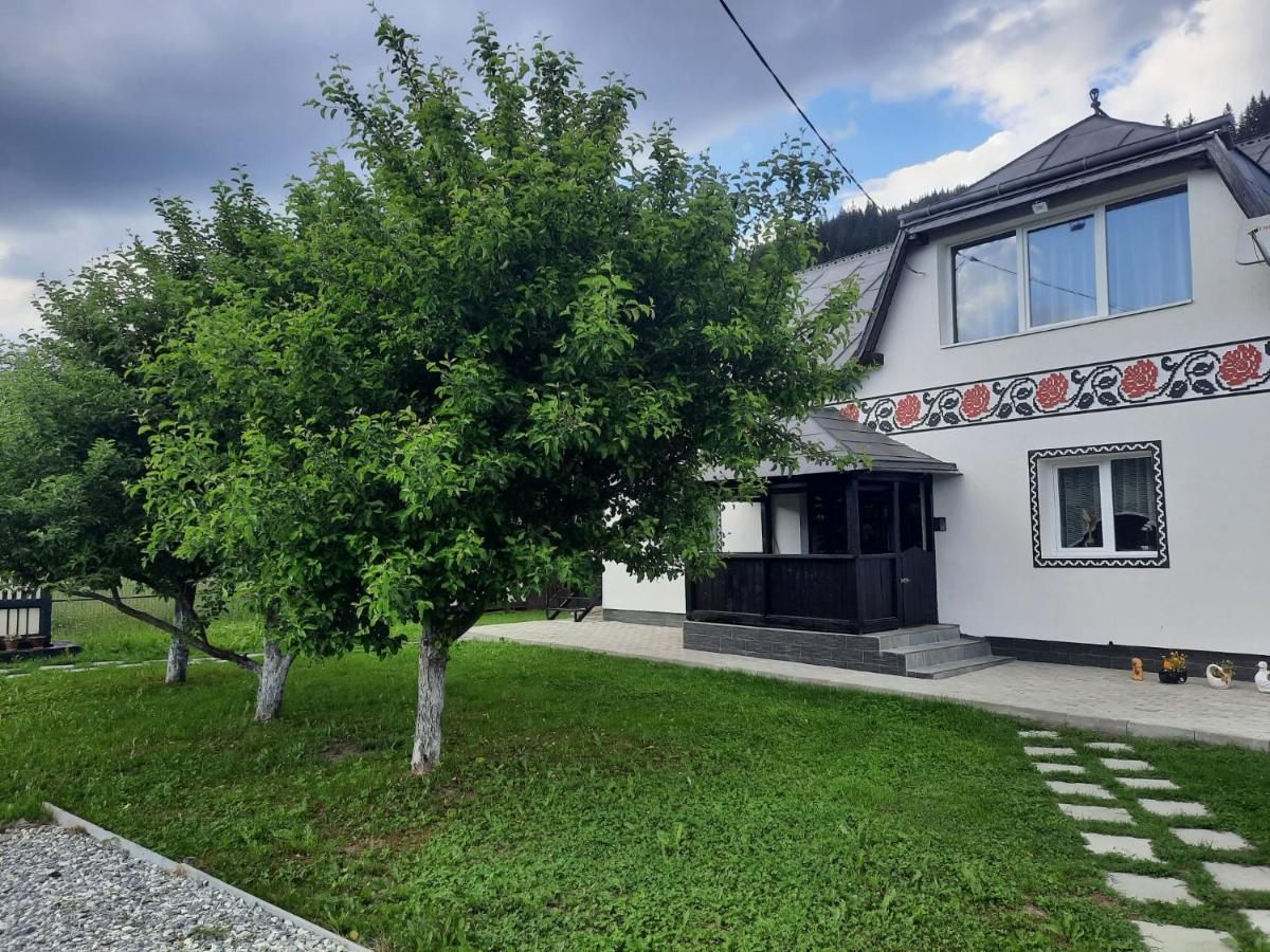 Casa Dumitru Si Elena Ciocanesti Bucovina Екстериор снимка