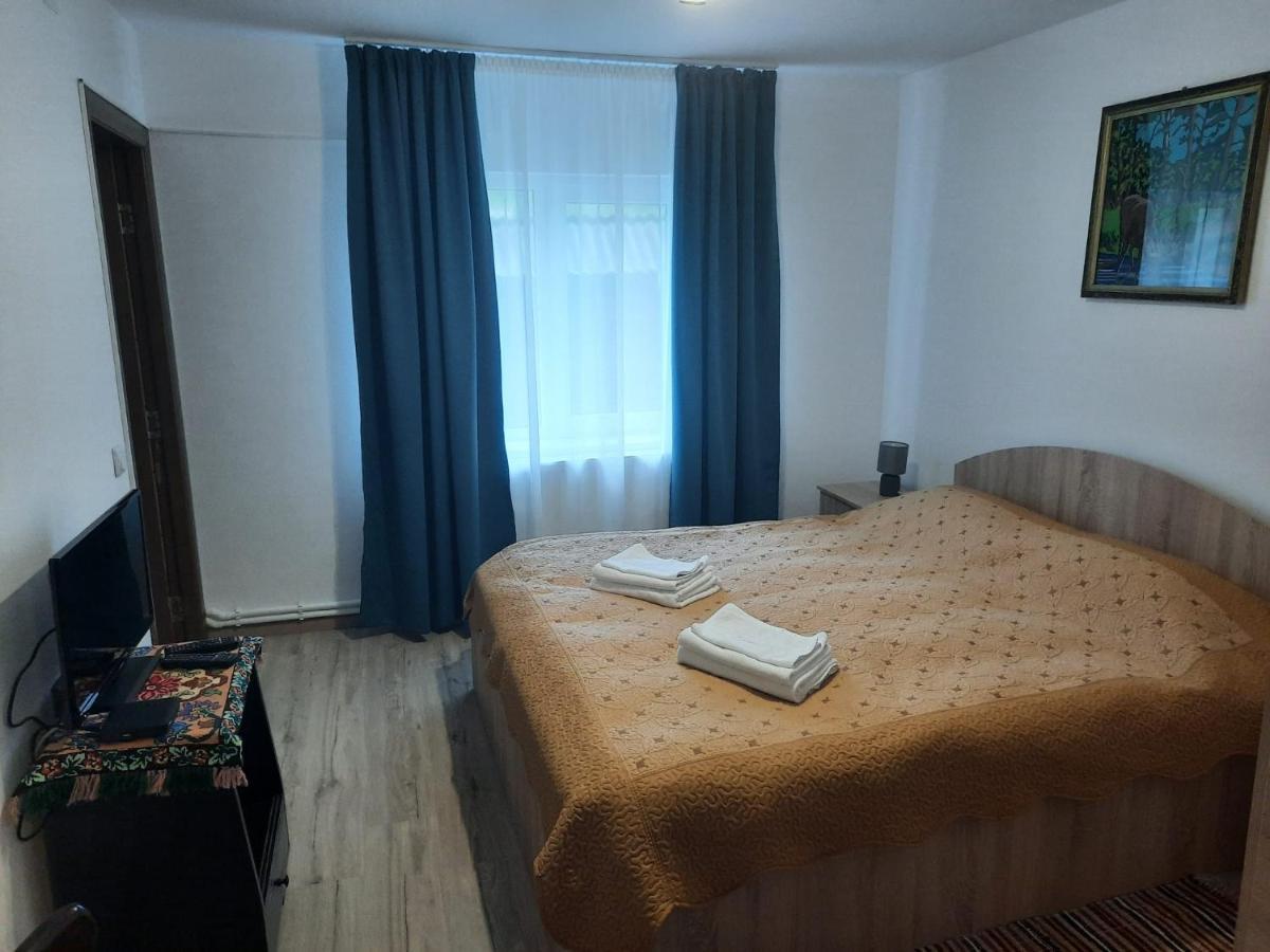 Casa Dumitru Si Elena Ciocanesti Bucovina Екстериор снимка