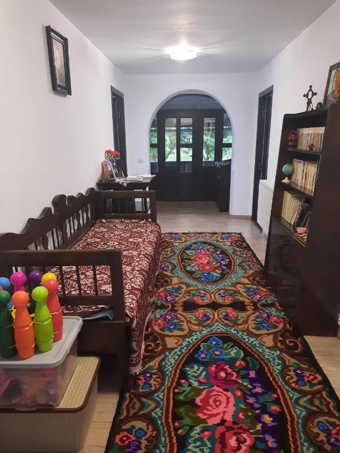 Casa Dumitru Si Elena Ciocanesti Bucovina Екстериор снимка