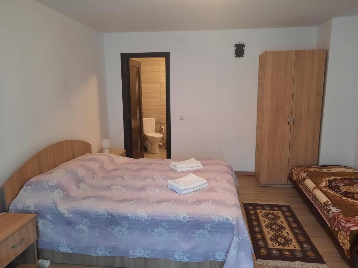 Casa Dumitru Si Elena Ciocanesti Bucovina Екстериор снимка