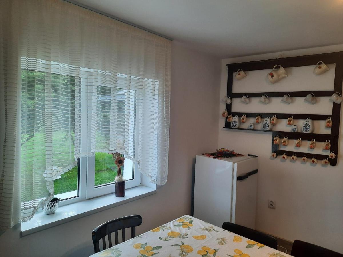 Casa Dumitru Si Elena Ciocanesti Bucovina Екстериор снимка