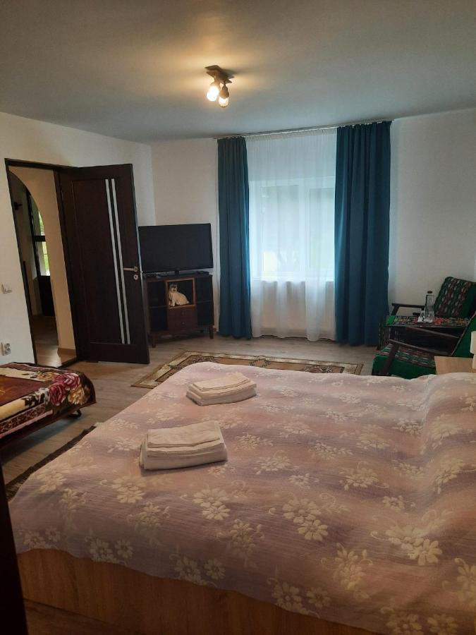 Casa Dumitru Si Elena Ciocanesti Bucovina Екстериор снимка