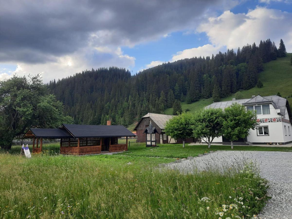 Casa Dumitru Si Elena Ciocanesti Bucovina Екстериор снимка