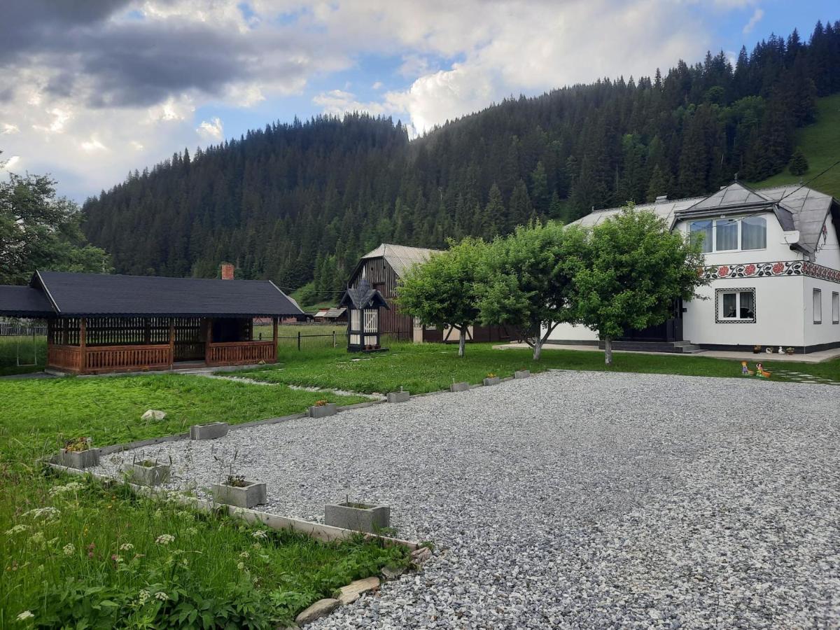 Casa Dumitru Si Elena Ciocanesti Bucovina Екстериор снимка