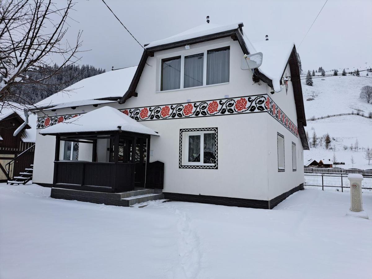 Casa Dumitru Si Elena Ciocanesti Bucovina Екстериор снимка